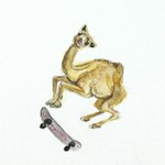 camelspinball's avatar'