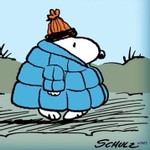 Lucas's avatar'