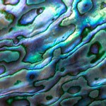 abulonpaua's avatar'