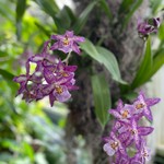 jordangmoe's avatar'