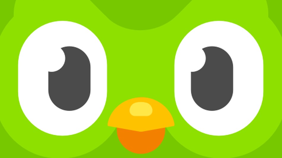 Comment l'hibou de Duolingo a découverte des lingots