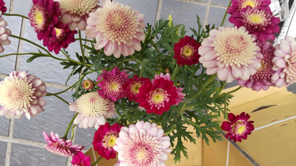 Happy Mother's Day!
