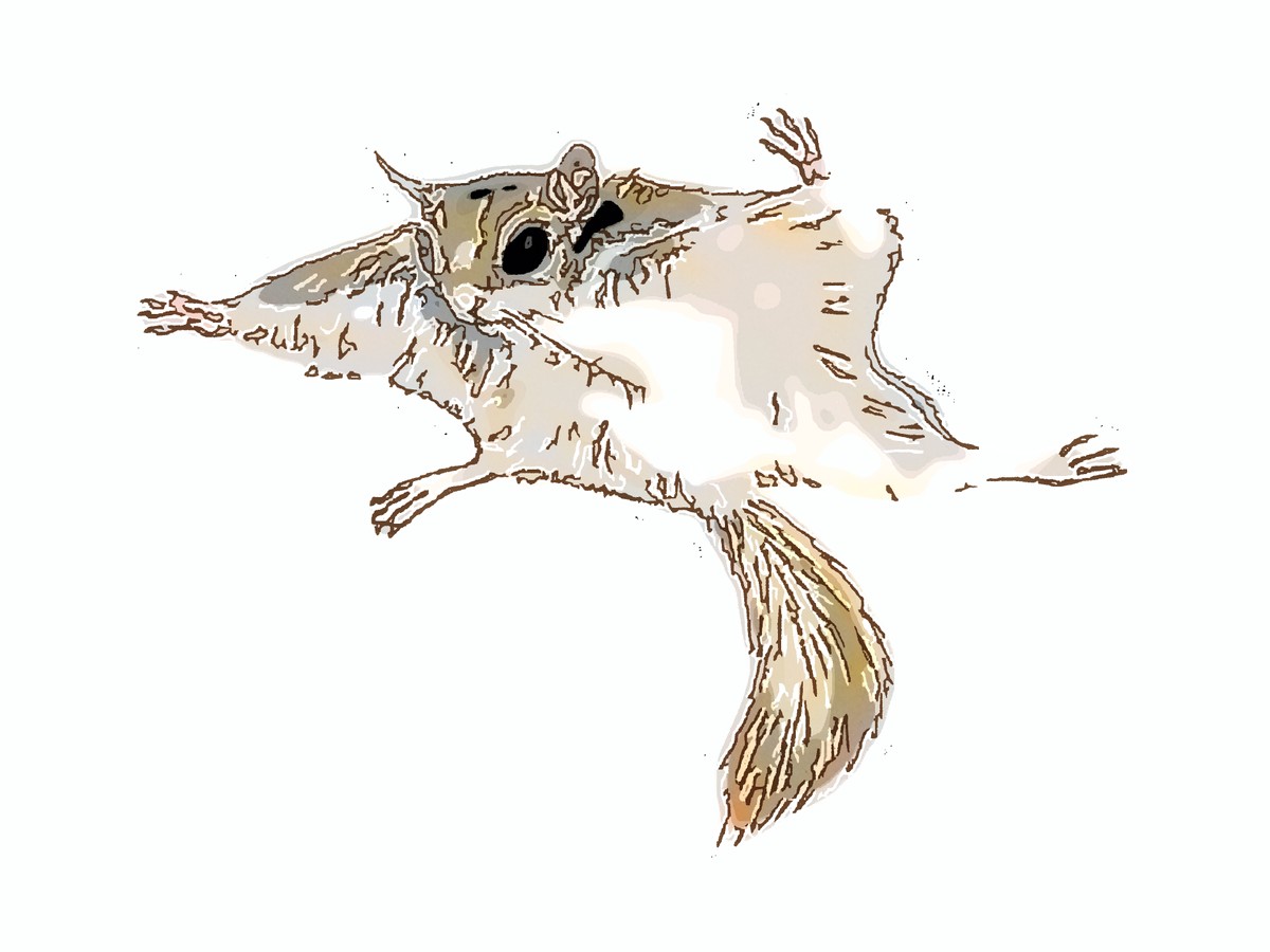 The Little Blue Creature — Part II