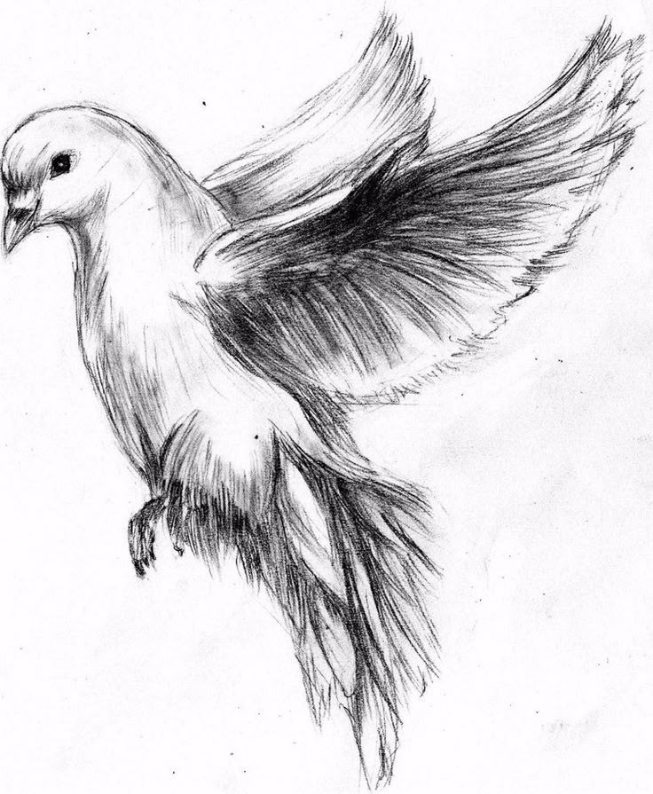 A Little Softer, A Little Wiser