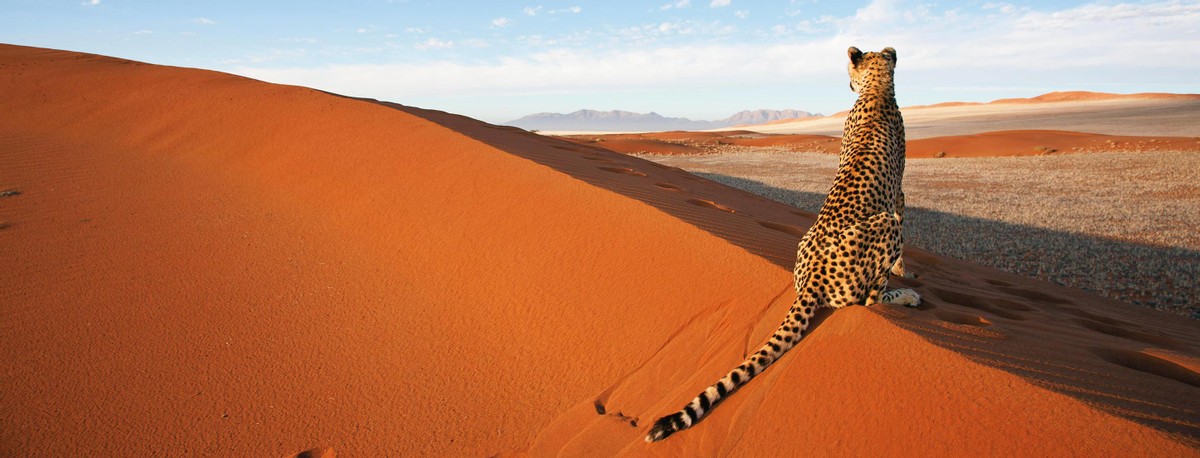 Mon voyage en Namibie