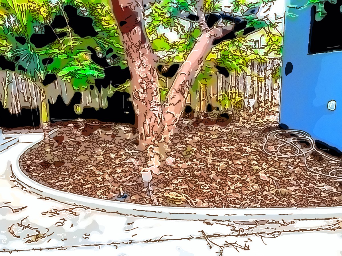 Новый дом — новый садик