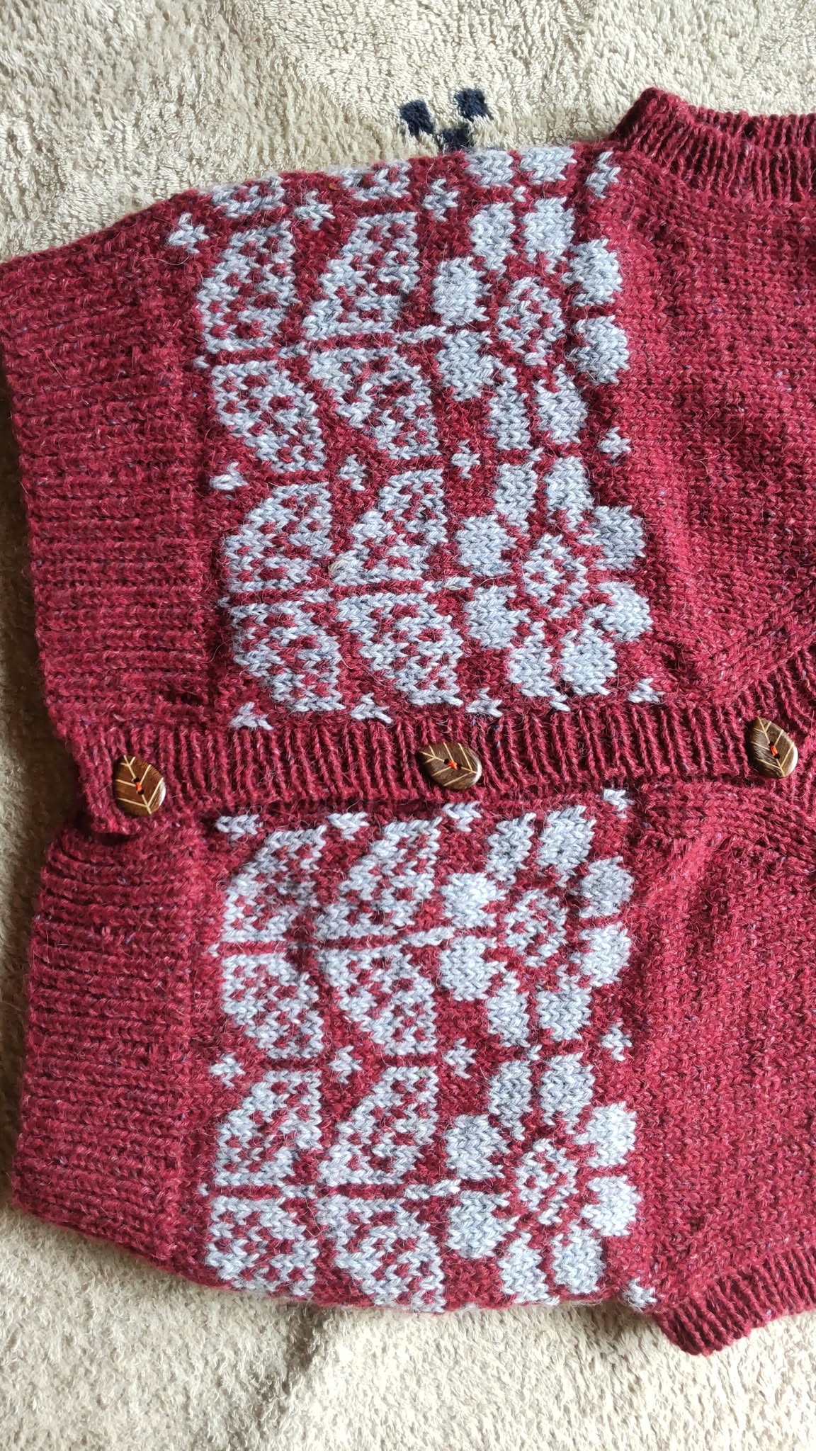 My Hand-Knitted Vest