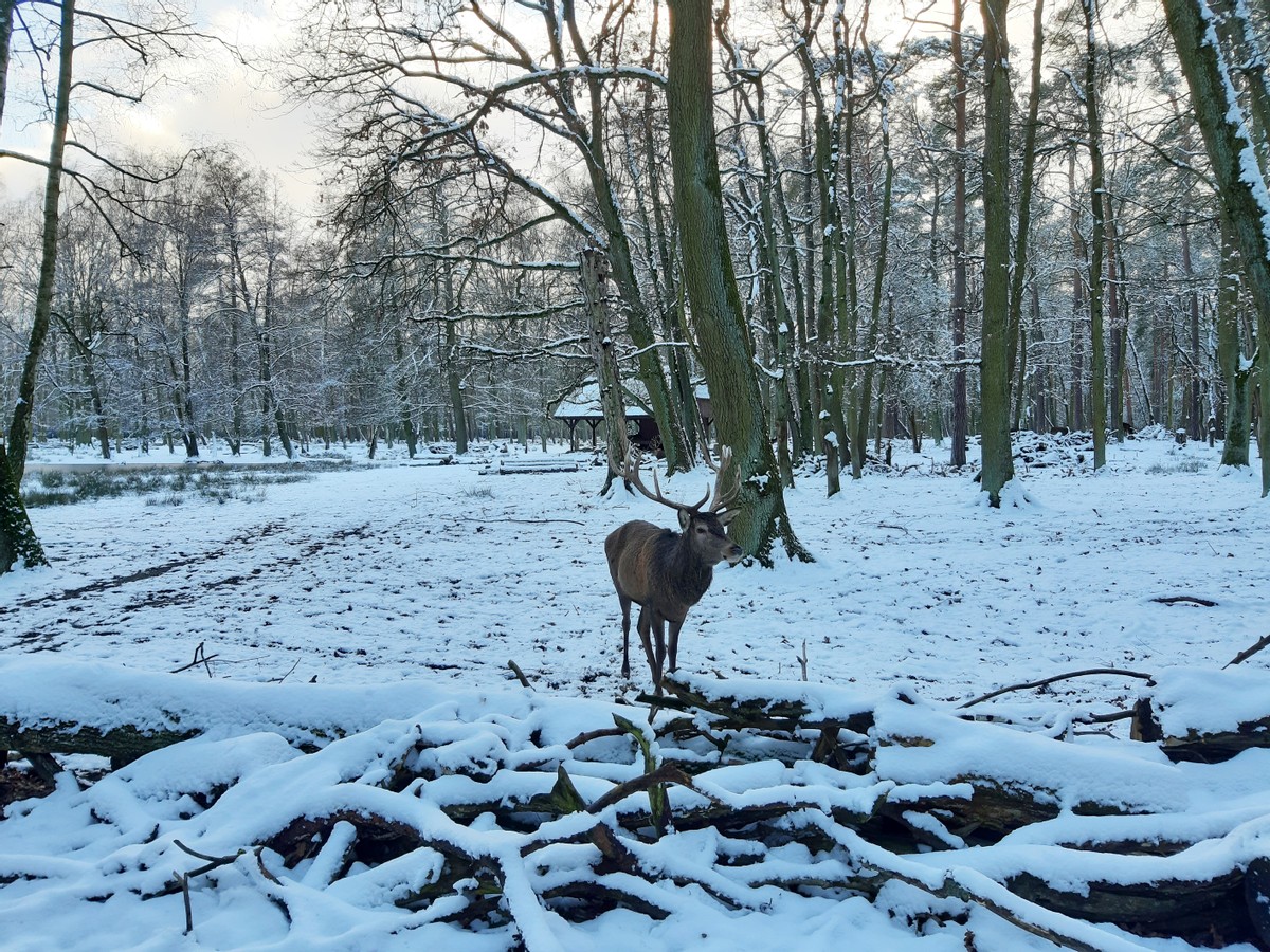 Was für ein Winter!