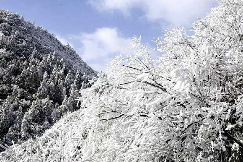 La gelée blanche 