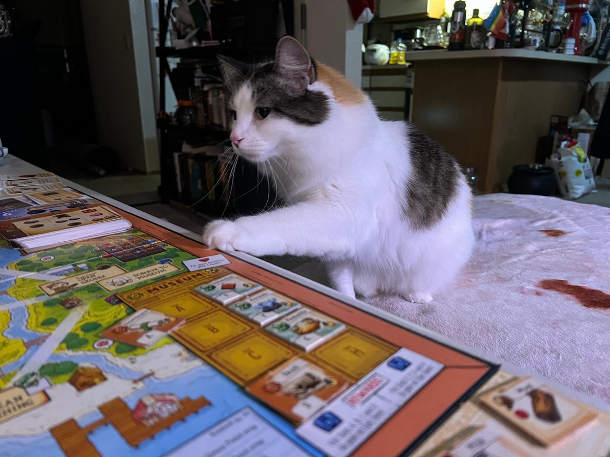 Stardew Valley board game