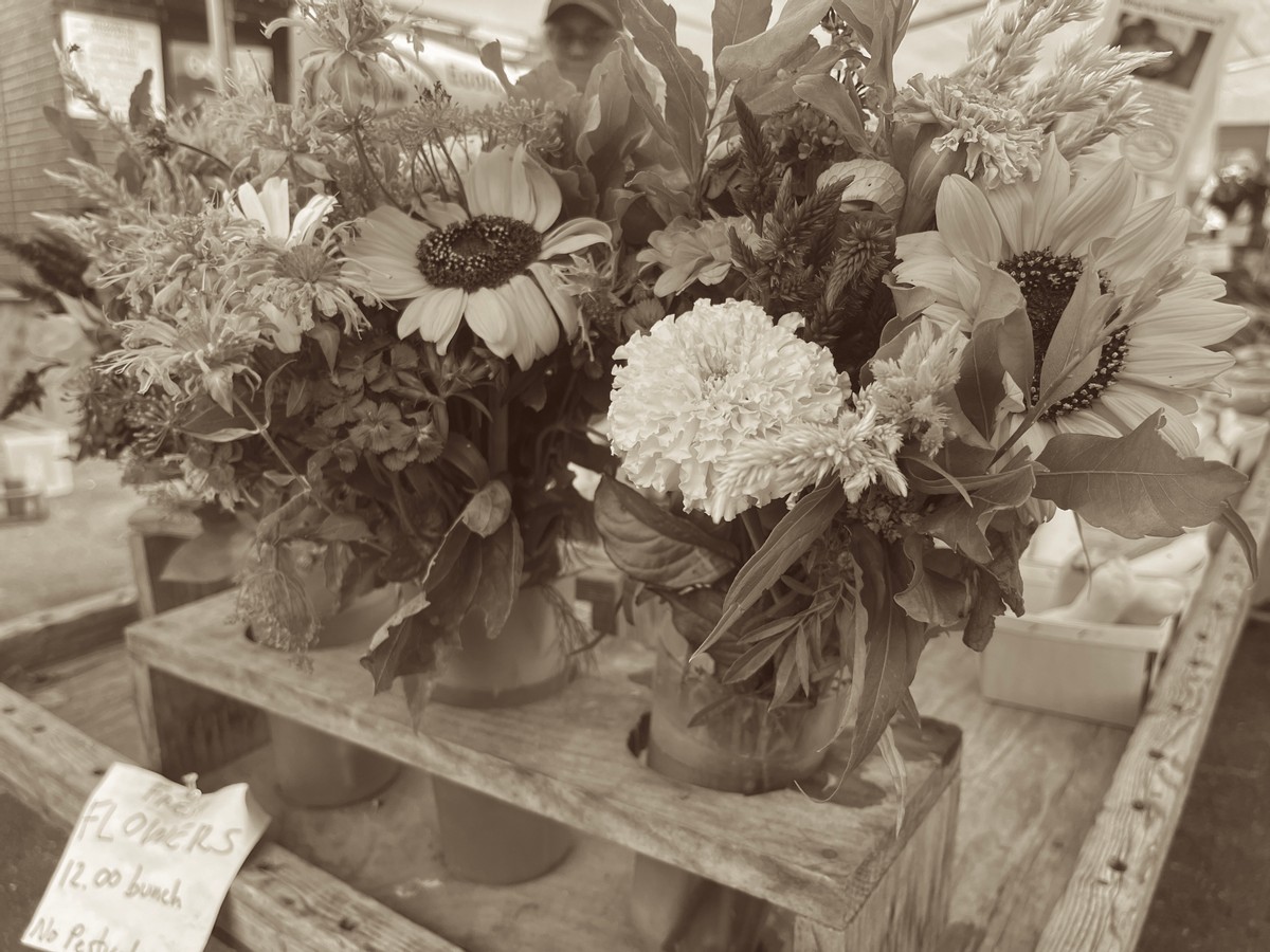 Les Marchés Producteurs du Washington D.C.