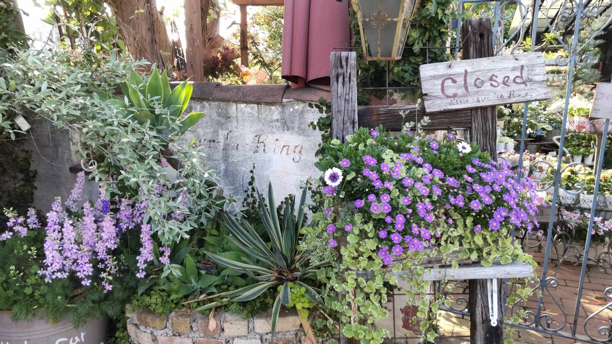 A Garden Shop 