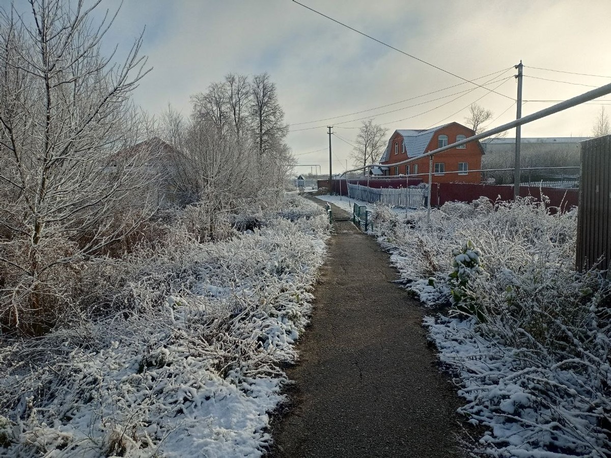 Как изучение русского языка изменило мою жизнь