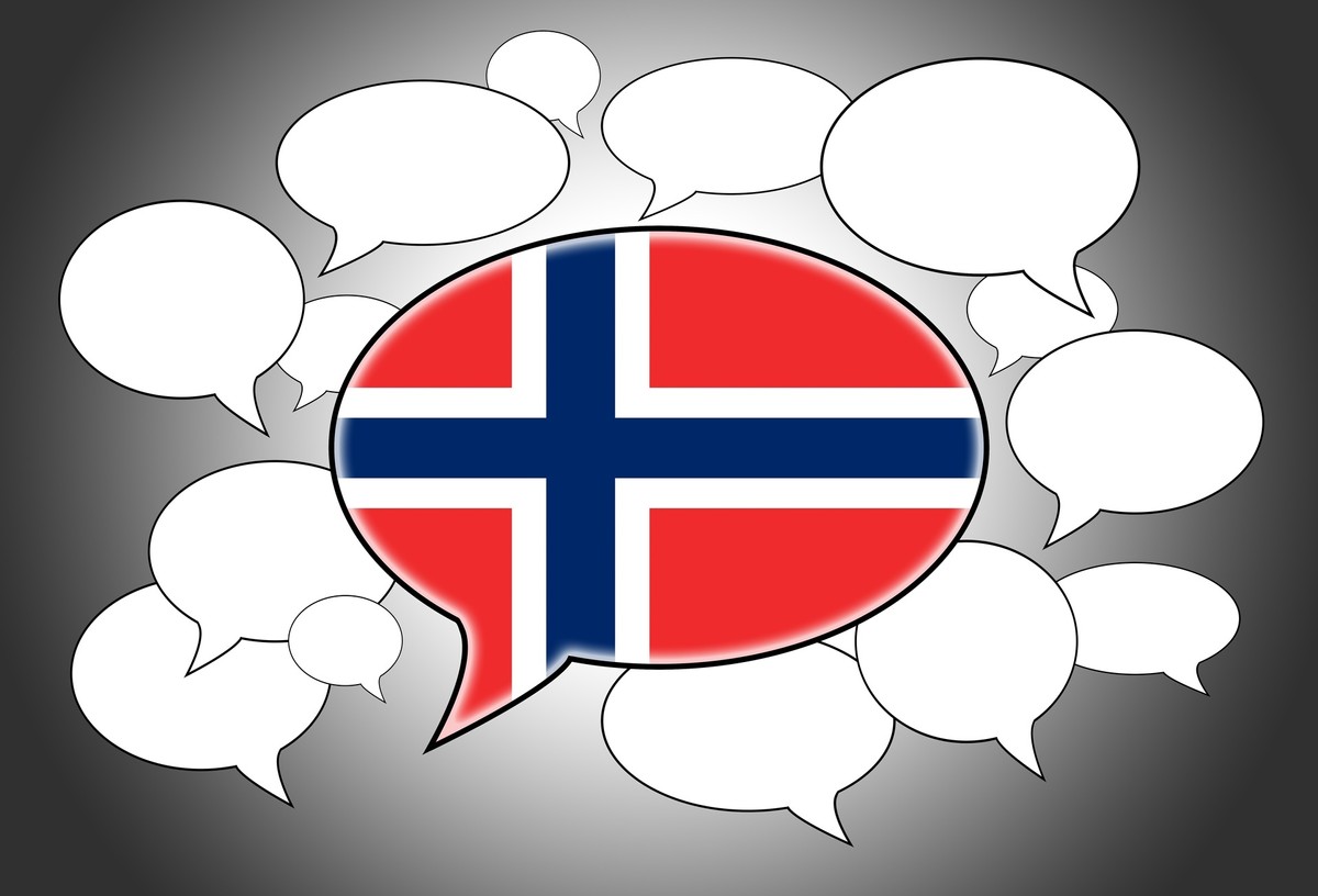 Bør alle innvandrerne lære seg norsk? 