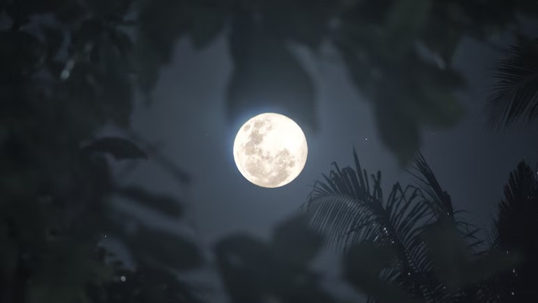 "Maramataka" - el calendario almanaque lunar de los maoríes