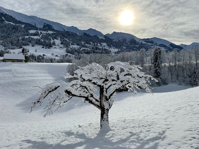 Eine Schneeschuhwanderung