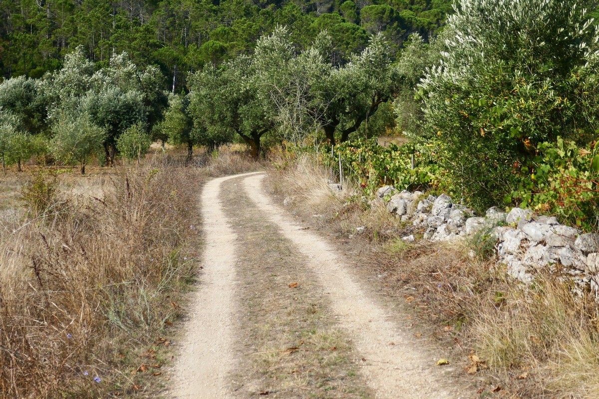 O Camiño Portugués Dende Lisboa