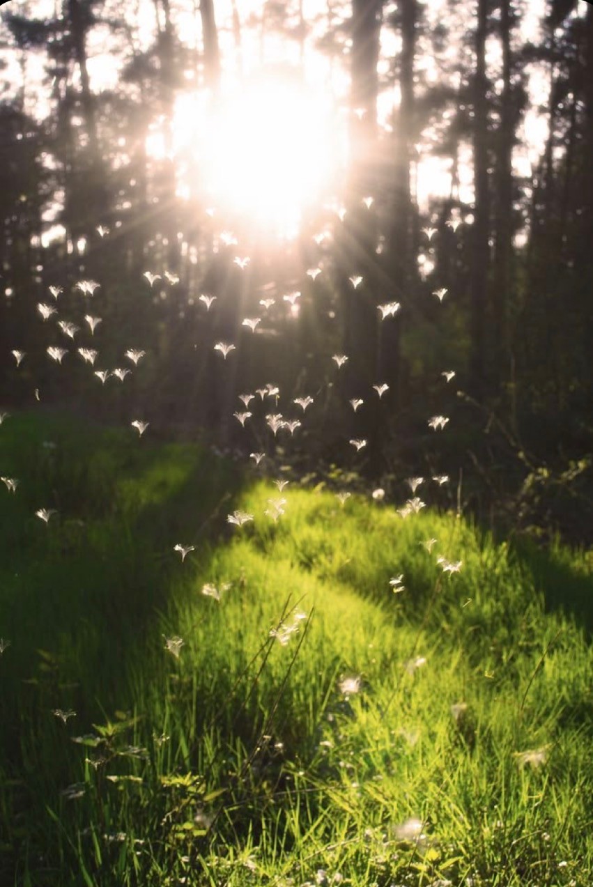 Le temps passe toujours vite
