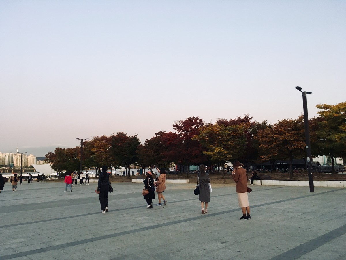 왜 (저) 한국 좋아해요?