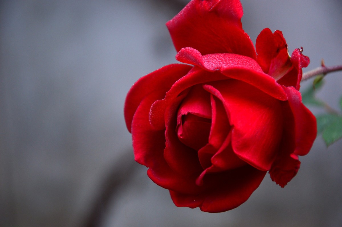 Planes de día de San Valentín