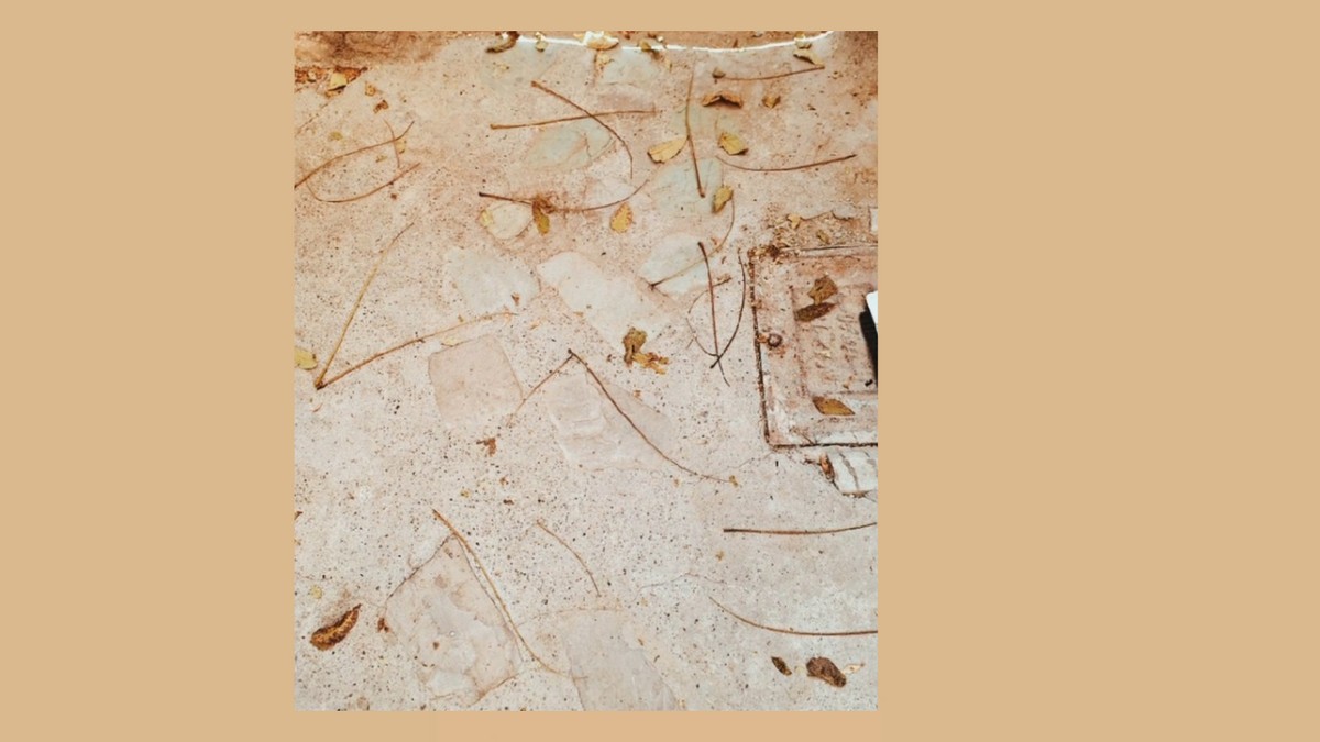  Hiragana Fallen  Leaves