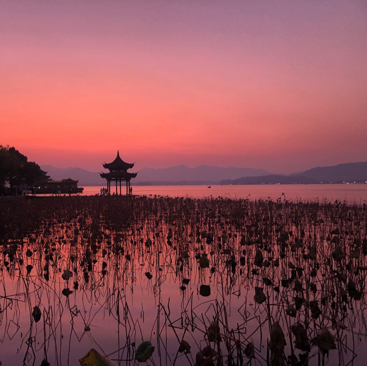 杭州 VS 台北