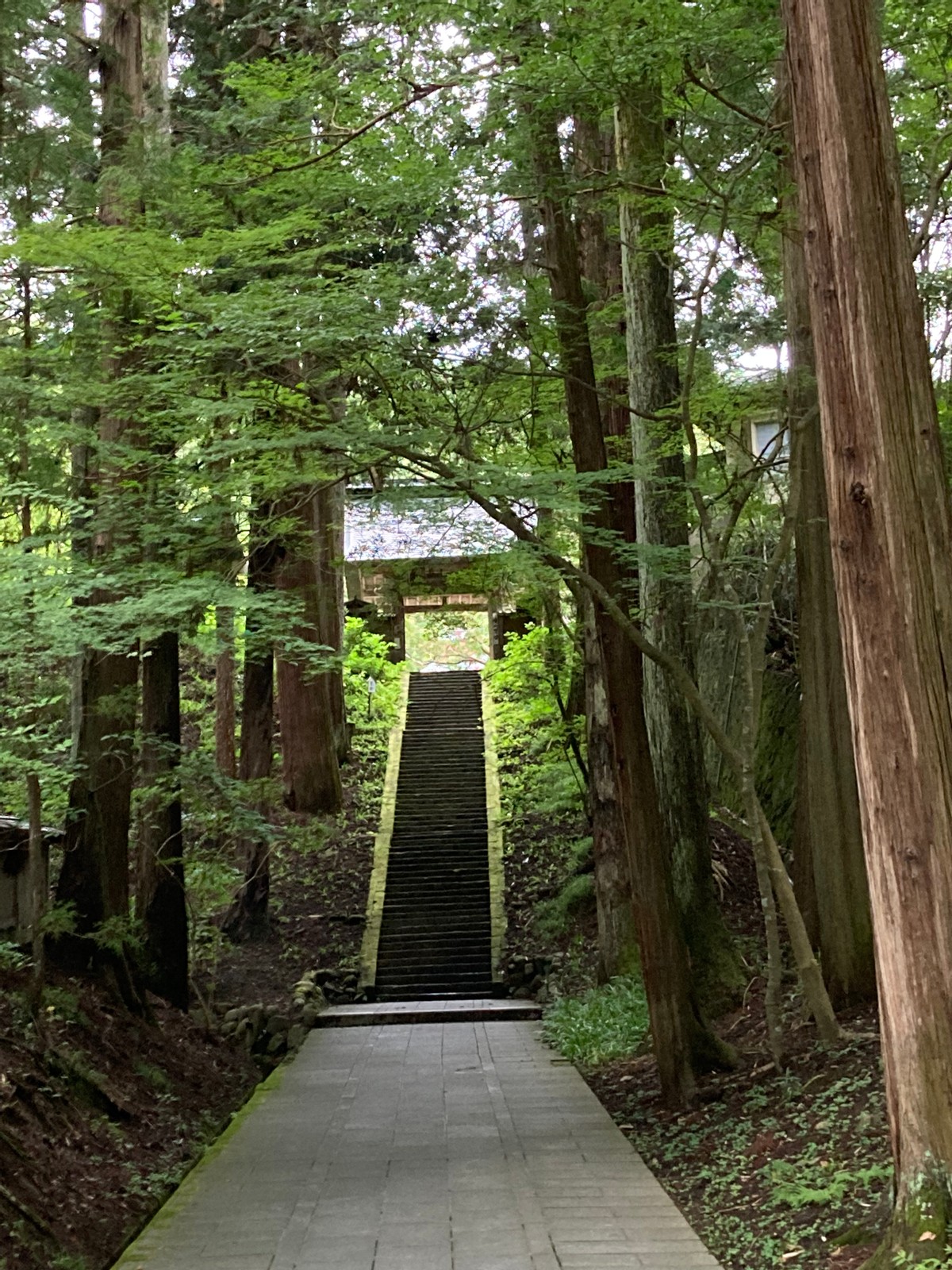 My Short Trip to Ueda: Part 2  Zazen Meditation Experience