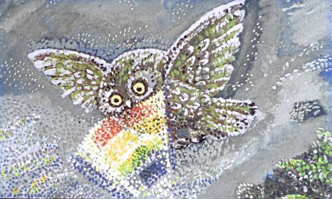 Why Owls Hide During the Day