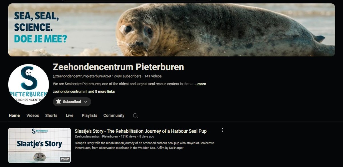 Seal Pup Kindergarten