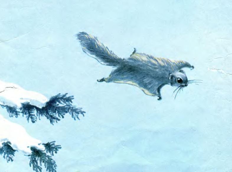 The Little Blue Creature: Part 2/2