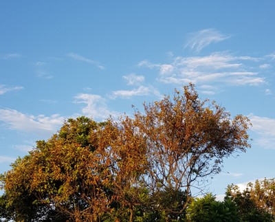 headline image