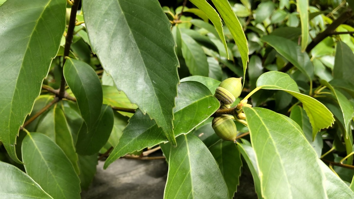 I've found the glimpse of fall