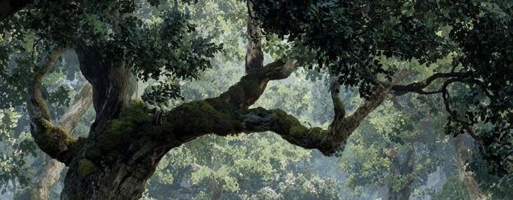 My first post in english.