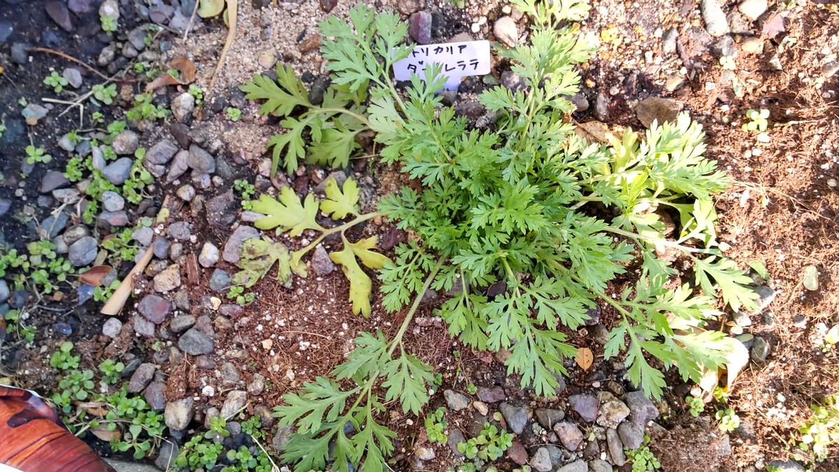 Preparing for Spring 