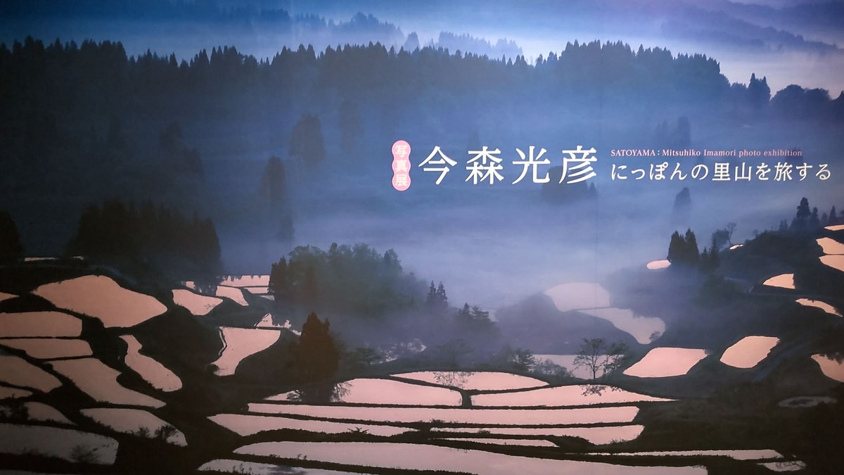 The Photograph  Exhibit by Mitsuhiko Imamori 