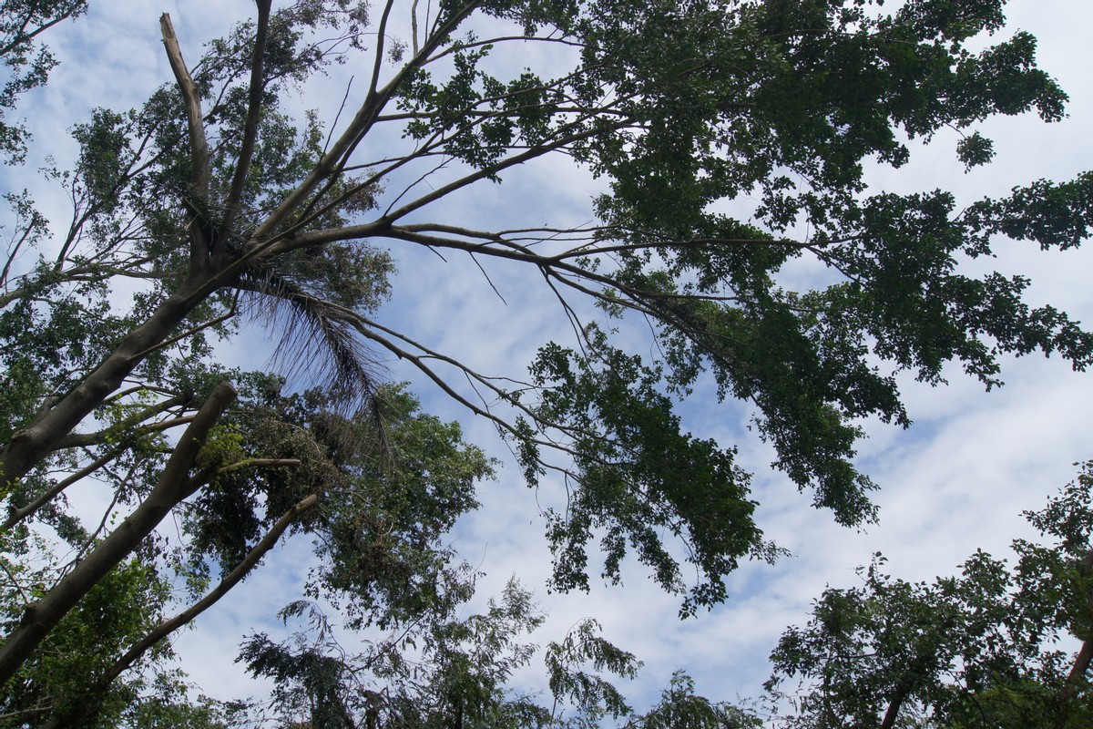 在影片一個人自己學