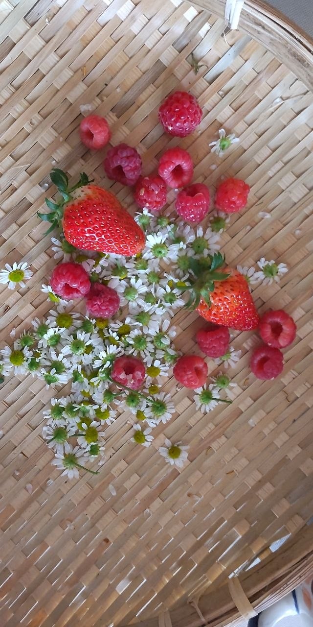 My Homegrown Raspberry 
