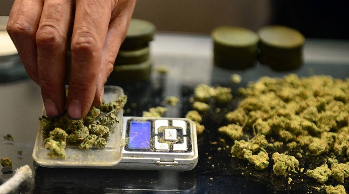 Cannabiz Russia