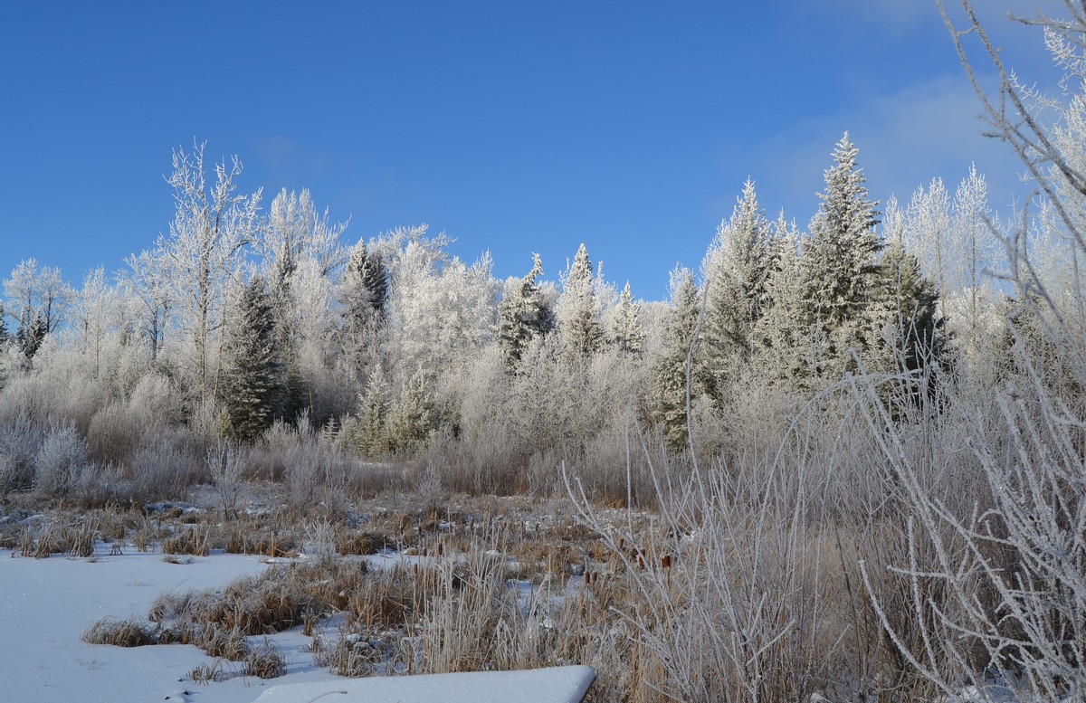 l'hiver, ma saison préférée