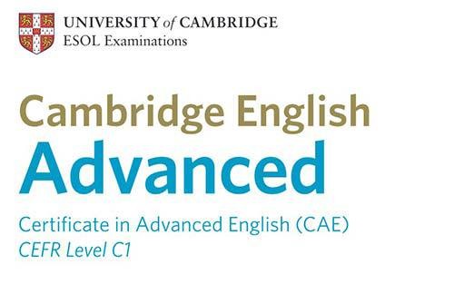 CAE Cambridge Exam - Writing task - Essay