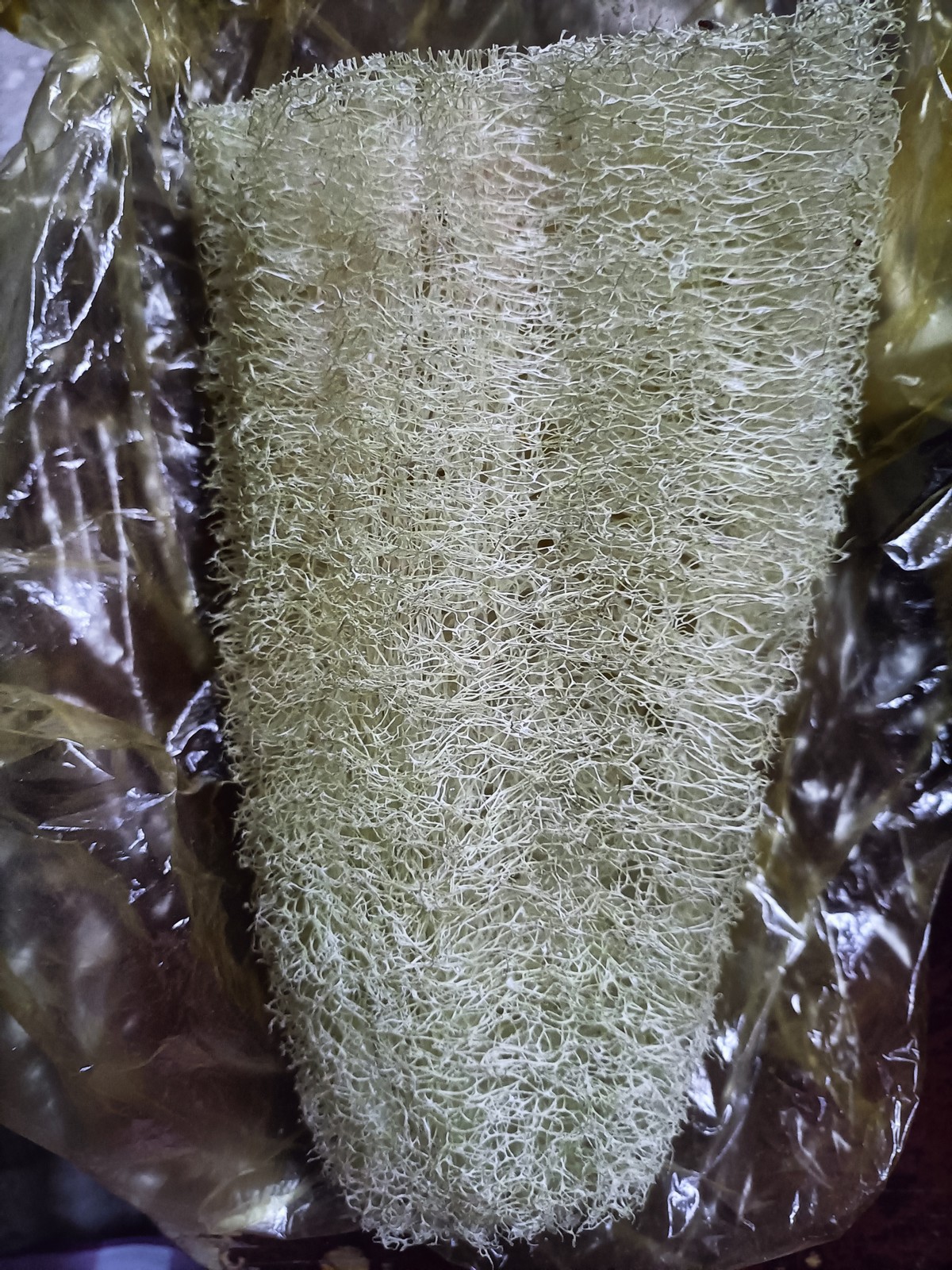 Do You Shower With a Loofah?