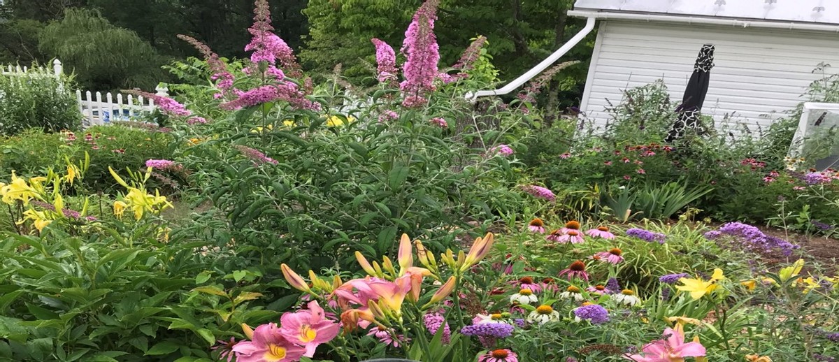 La Problème Avec Mon Jardin