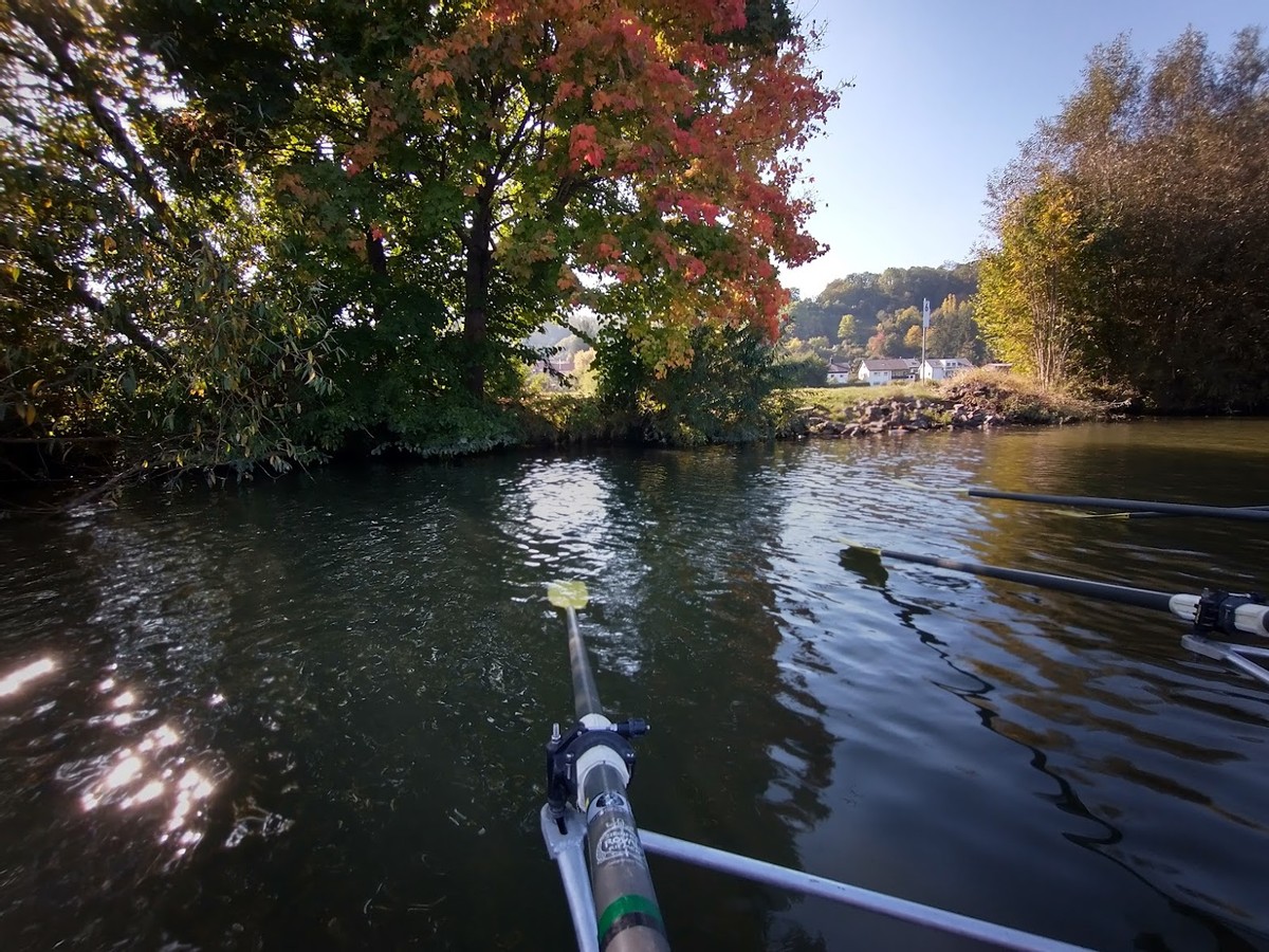 Canottaggio in autunno