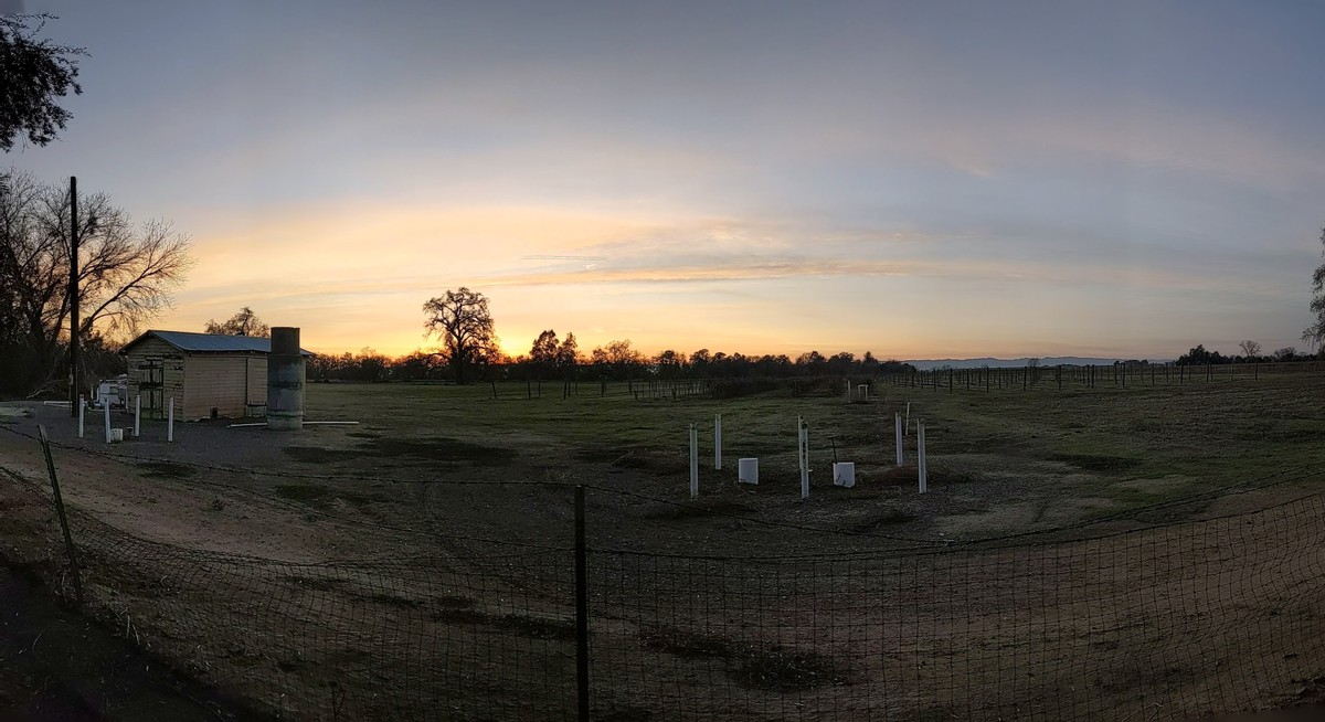 Einen Sonnenuntergang zu sehen