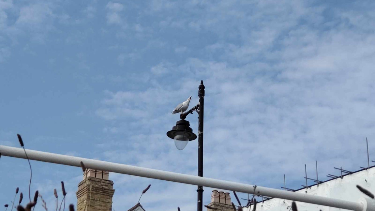 Southwold Pier, Fish and Chips and Bungay 