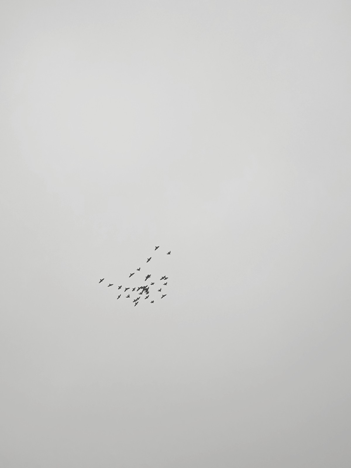 Trying to Translate My Poems into English: Slumbering in Grey