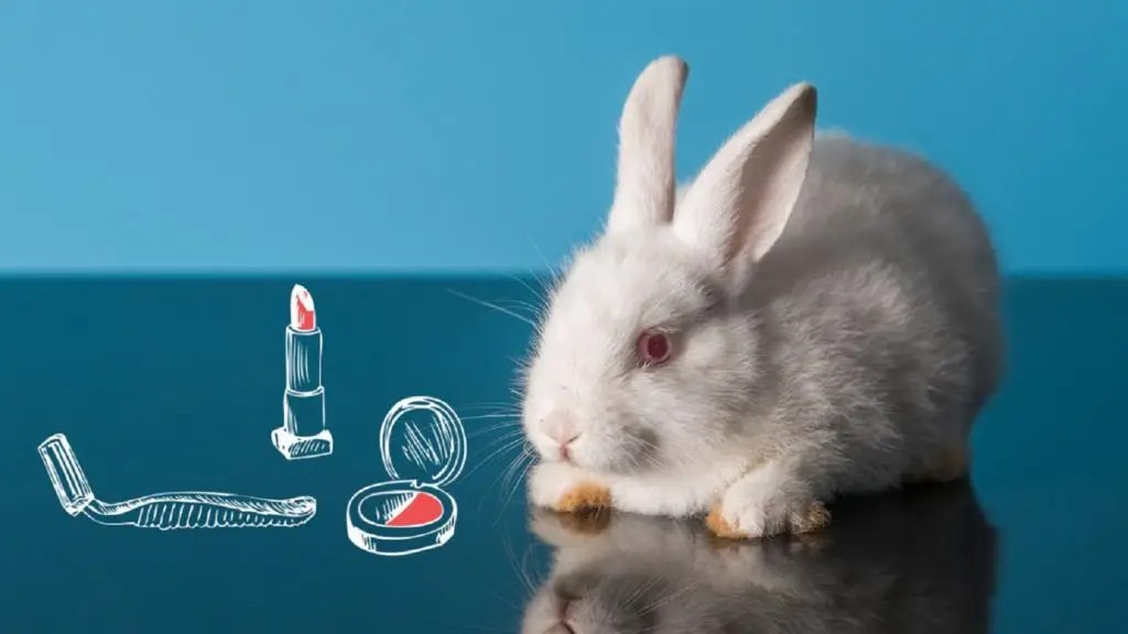 Cruelty free