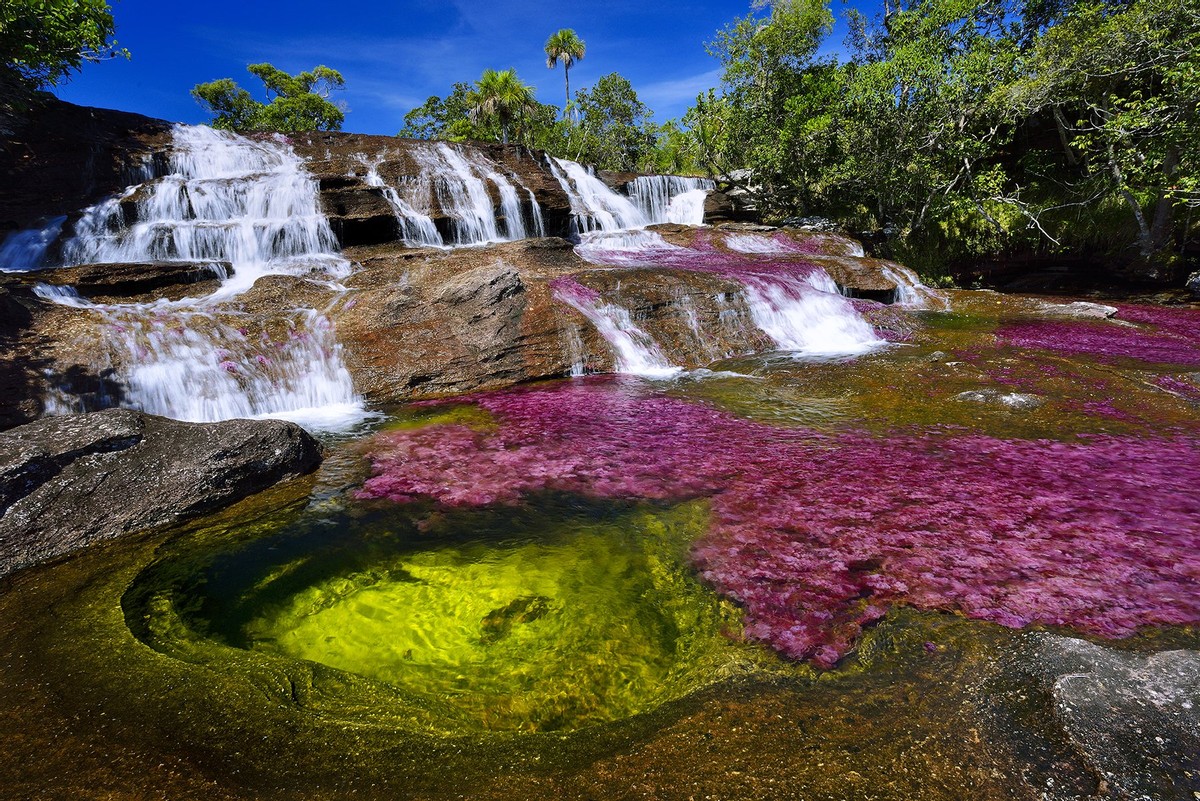 Caño Cristales